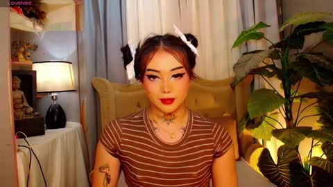 kim online show from November 15, 8:23 am