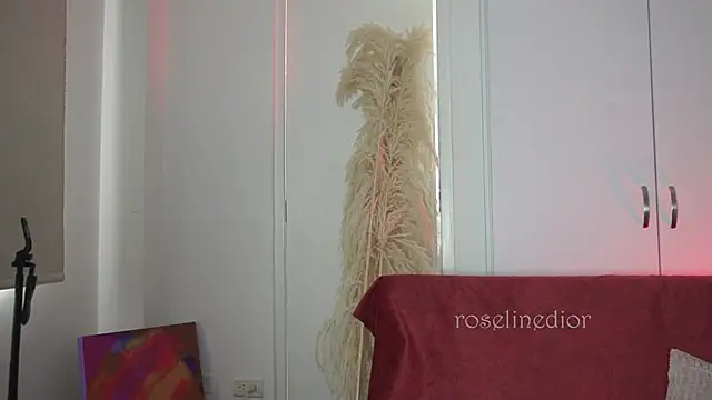 roselinedior online show from November 9, 4:30 pm