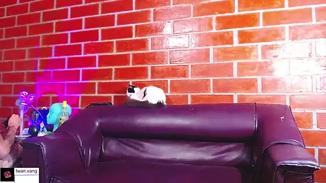 Trix fiore oficial online show from March 22, 10:47 pm