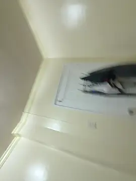 anne smithe online show from April 25, 12:31 pm