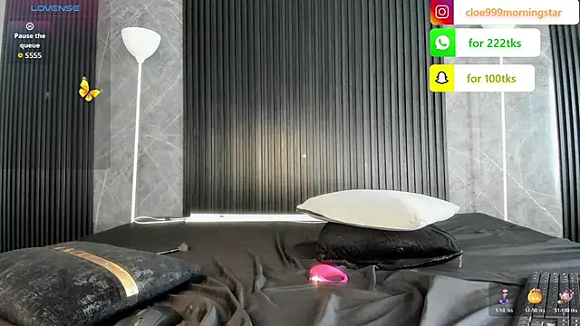 cloemorningstar online show from November 5, 4:40 pm