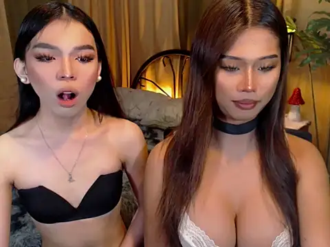 TWINKTRANSSHANEL online show from October 9, 4:36 am