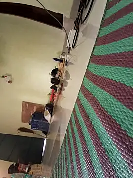 Ranuvabi online show from April 28, 10:09 am