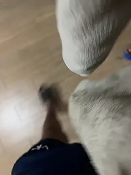 Escanor1201 online show from February 7, 2:39 am