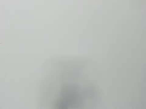 Alejandra and James  online show from March 29, 11:22 am