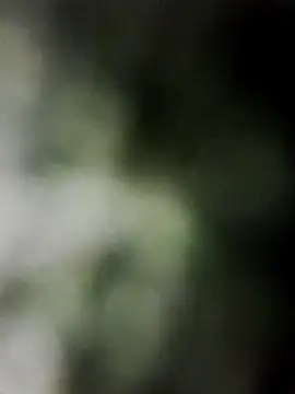 YourAnshikaa online show from April 18, 9:04 pm