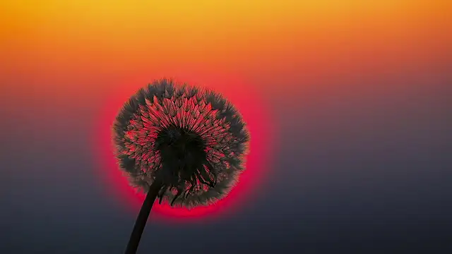 Sunning2 online show from September 17, 9:47 am