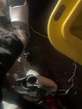 Exclusivenutxxx online show from January 23, 6:56 pm