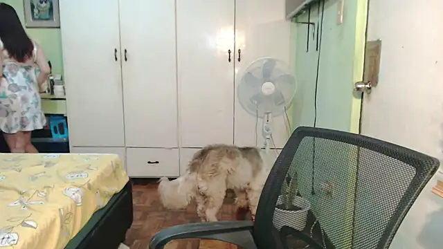 Ezradeliciosa online show from February 15, 3:02 am