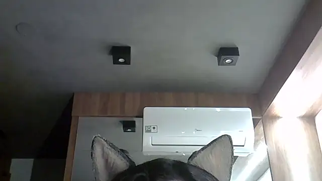 Skinny-Kitten online show from September 29, 3:39 am