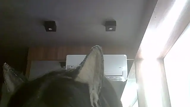 Skinny-Kitten online show from April 15, 5:29 pm